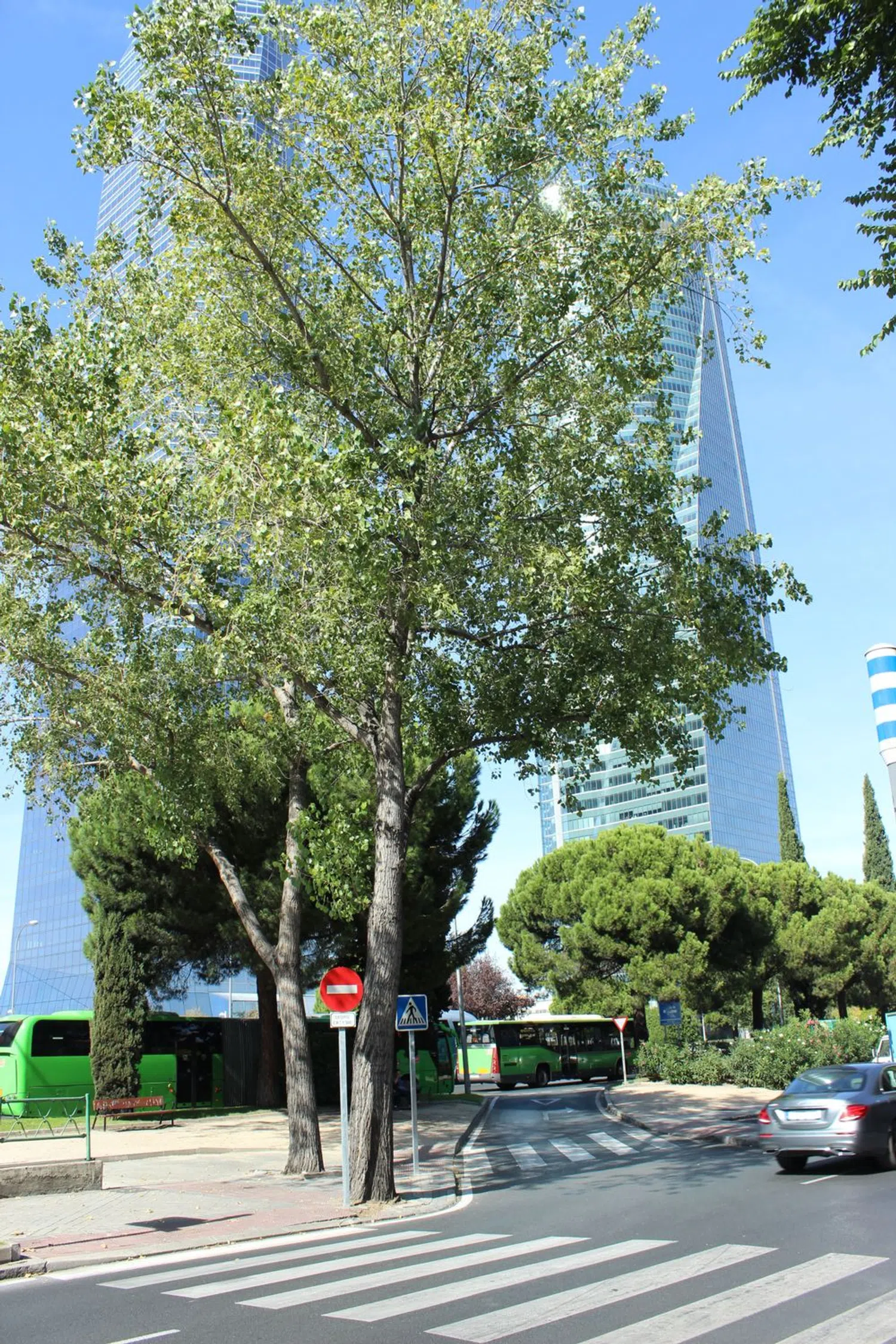 Piso en paseo de la Castellana, 284 - Foto 23