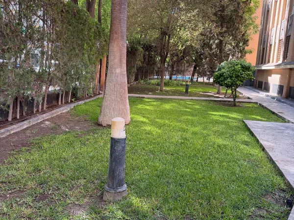 Piso en Avenida de Jerez, 7, Bami - Pineda - Foto 25