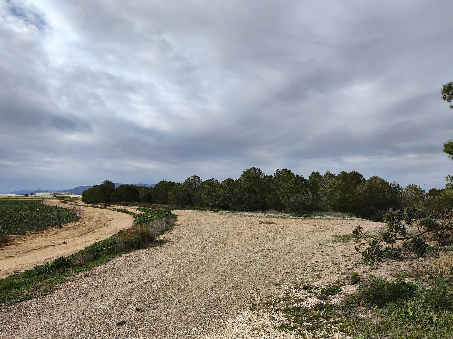 Finca rústica en casa morenos, 4 - Foto 34