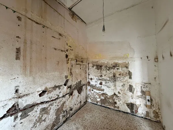 Chalet adosado en Calle Dos de Mayo, 19, Valle de los Nueve - El Ejido - Medianías, Valle de los Nueve - El Ejido - Medianías - Foto 4