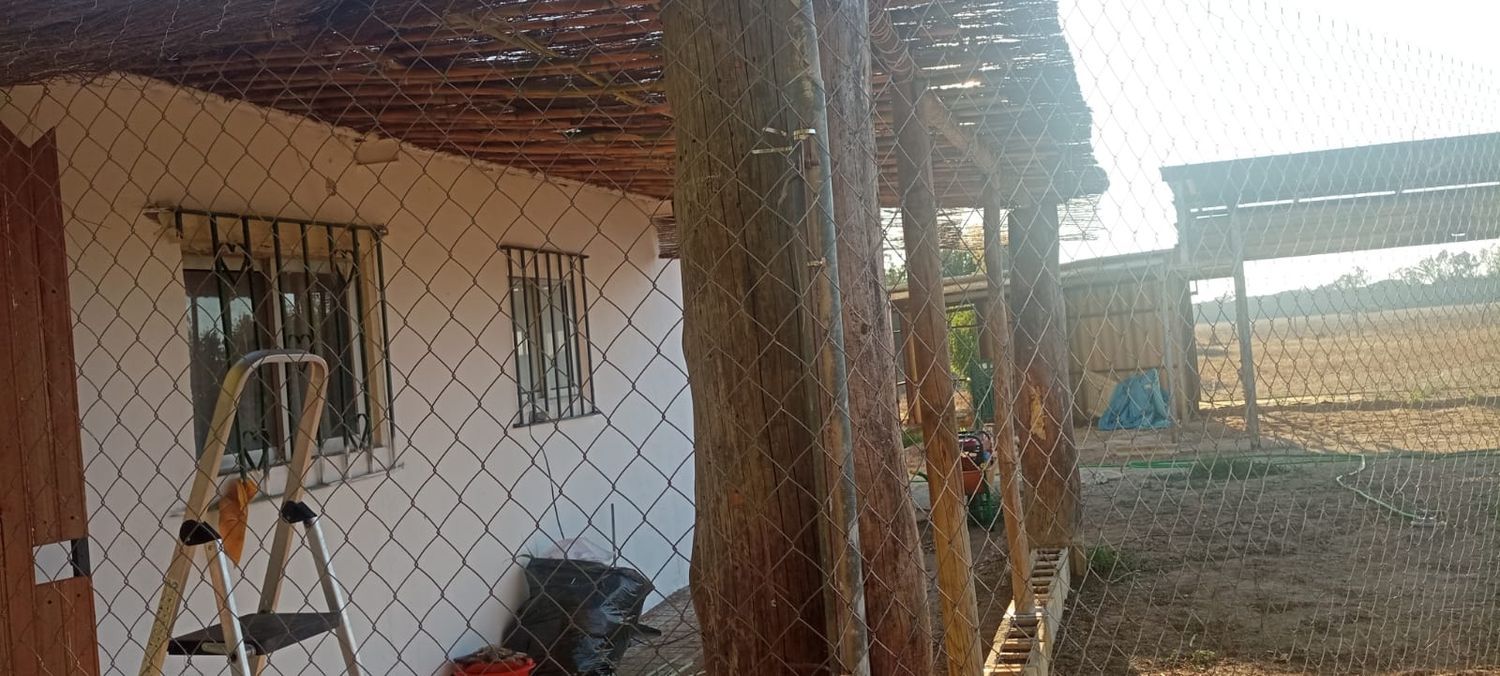 Finca rústica en Ca-3109 s/n - Foto 12