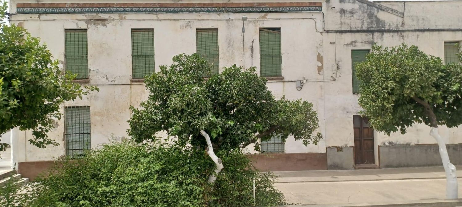 Casa de pueblo en Calle Juan Carlos I, 86 - Foto 6