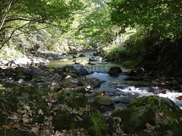 Finca rústica en Ponga, 6 - Foto 7