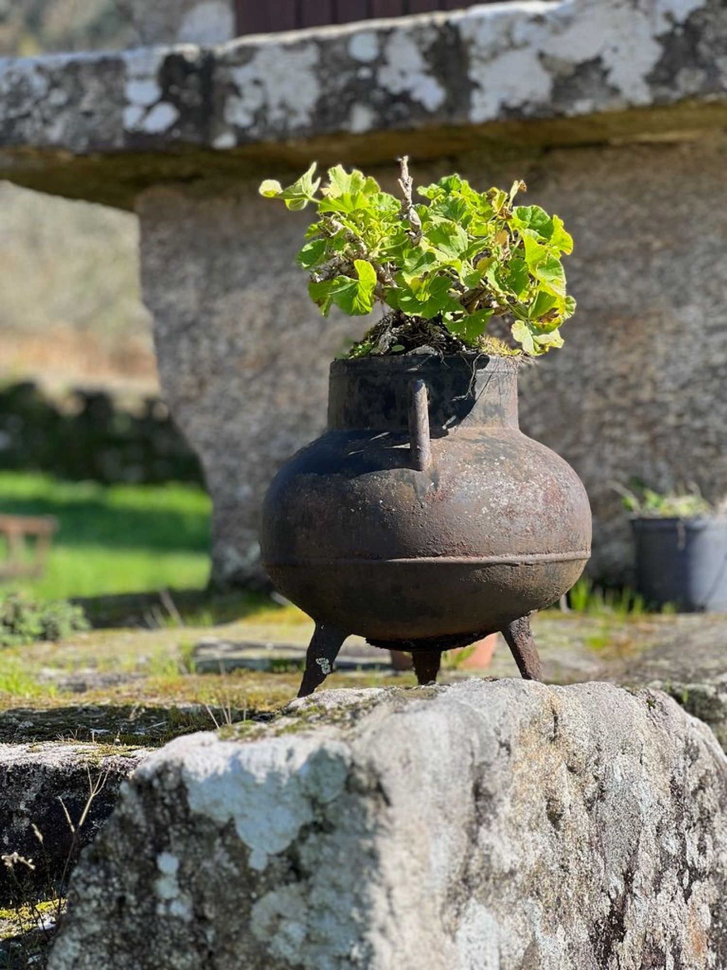 Casa rural en calle Ventosa, 22 - Foto 14