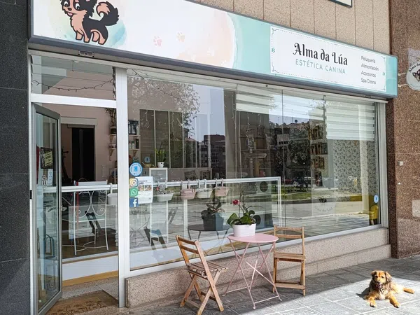 Local en Peluquería en Avenida Alcalde Gregorio Espino, 48, Casablanca - Calvario - Foto 1