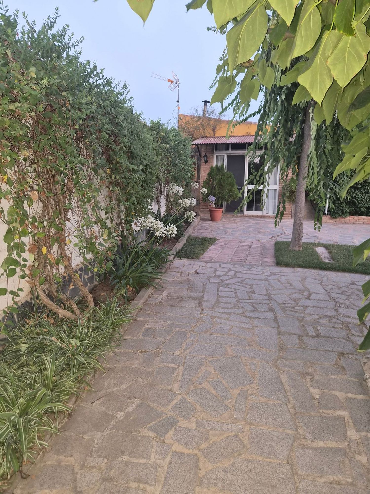 Finca rústica en Calle Virgen de Luna, 84 Diseminado - Foto 8