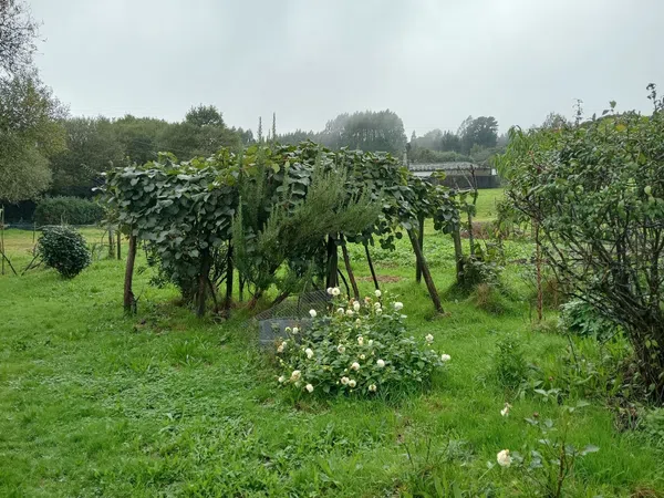 Casa rural en Lg/ Suaermida, 2 - Foto 22