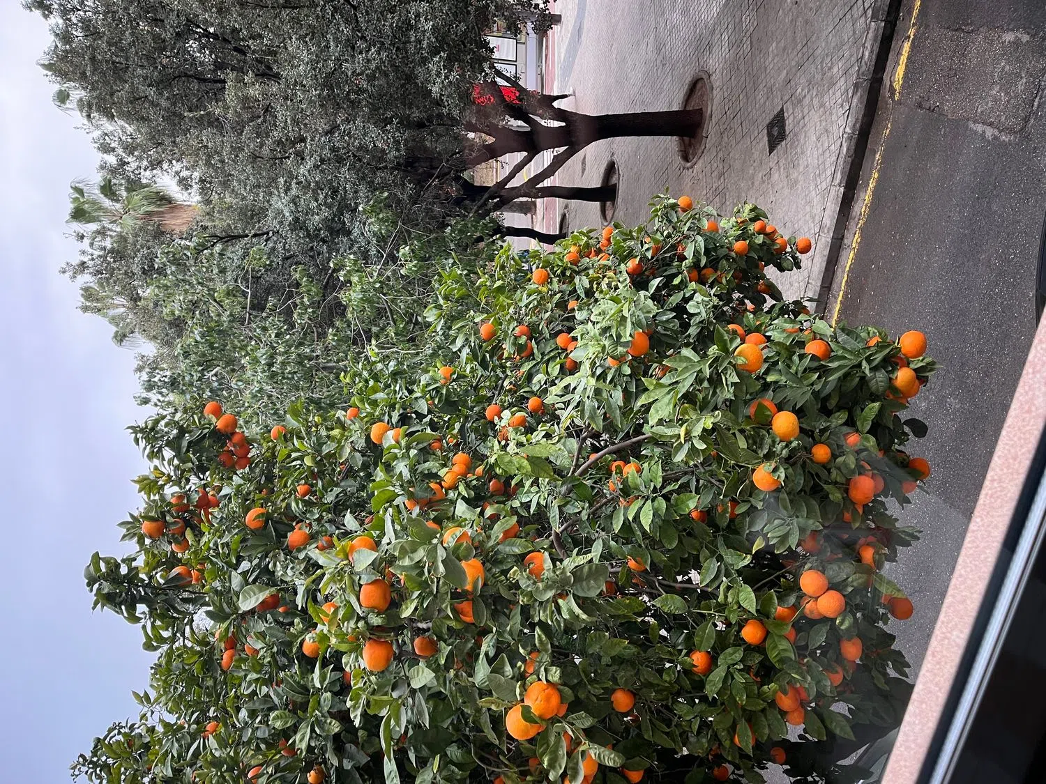 Piso en calle de Tirant lo Blanch, 25 - Foto 8