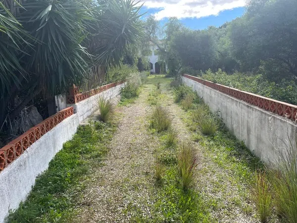 Finca rústica en Partida Molinete, 7, Centro, Centro - Foto 1