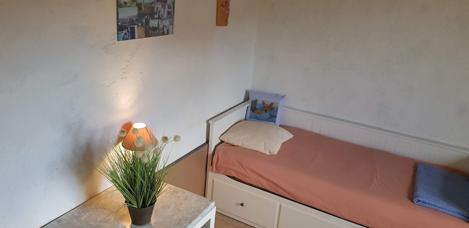 Casa o chalet independiente en Urbanización Todosol, 239 b, Los Collados-Los Geráneos, Los Collados-Los Geráneos - Foto 25