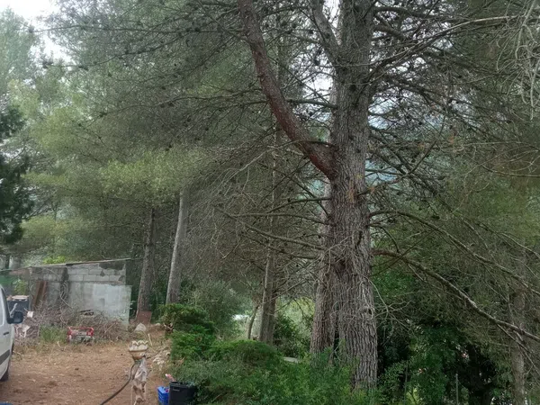 Finca rústica en Bancal domenec s/n - Foto 27