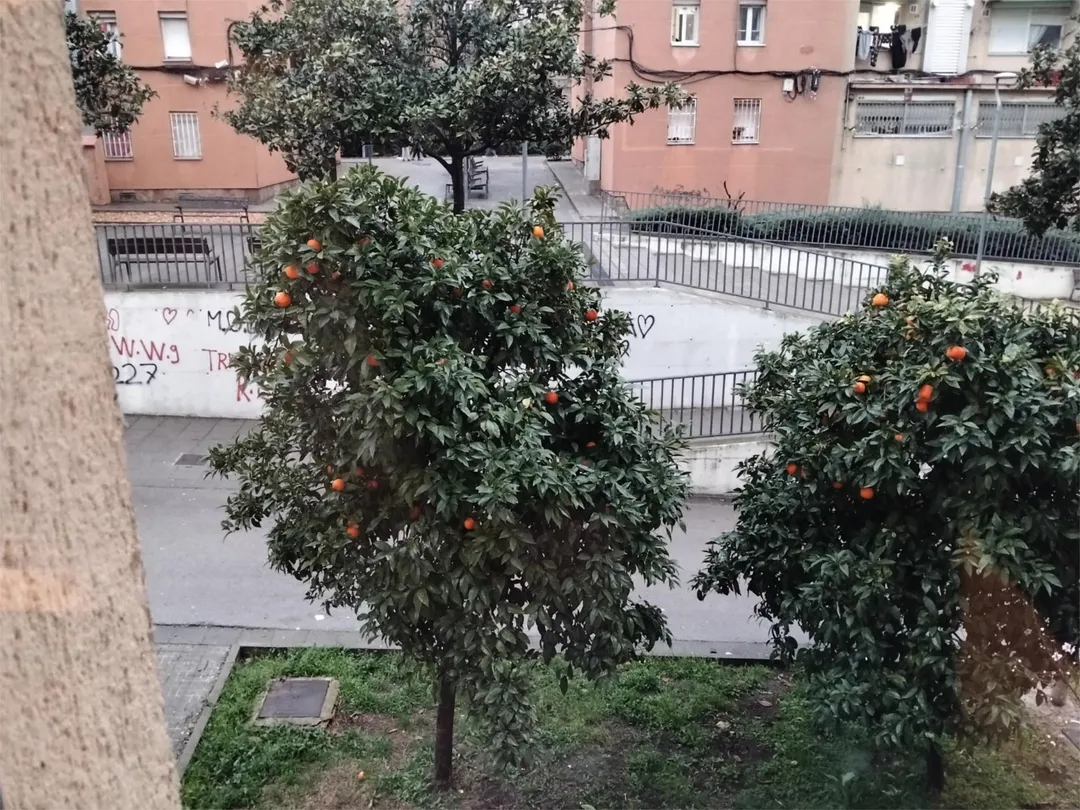 Piso en  Diseminado Torrebonica 1J - Foto 1