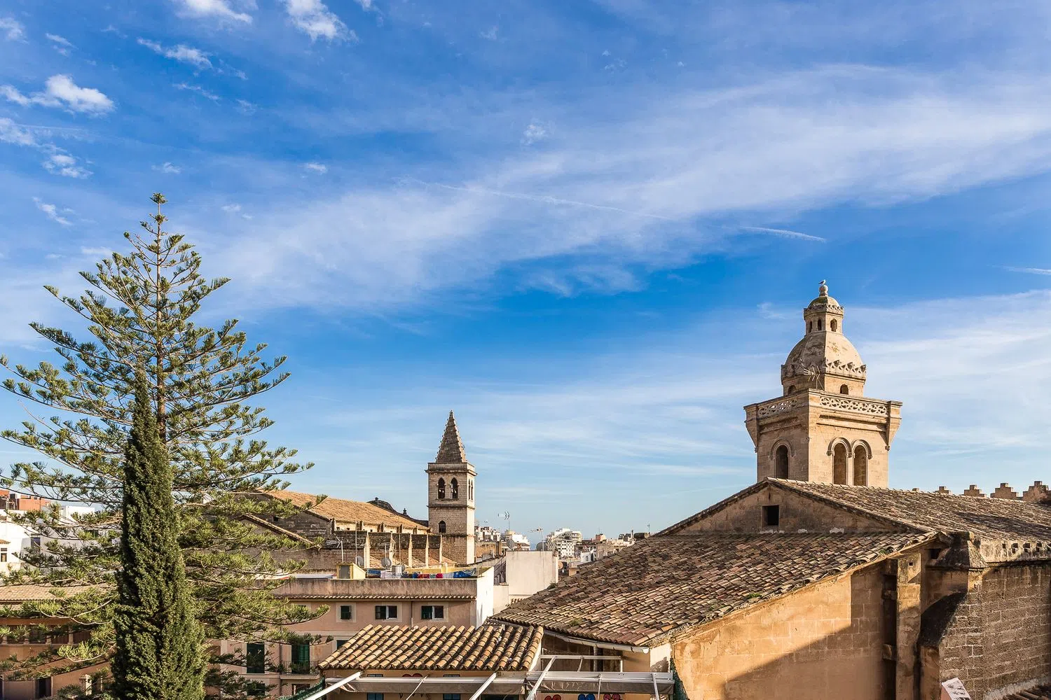 Estudio en calle de Josep Tous i Ferrer, 6 - Foto 10
