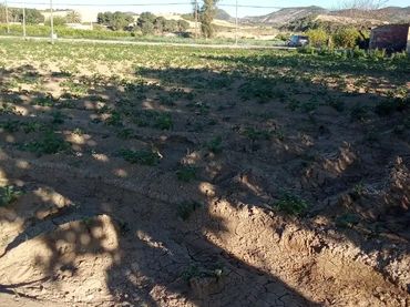 Finca rústica en  Carril de los Murcia 5 - Foto 12