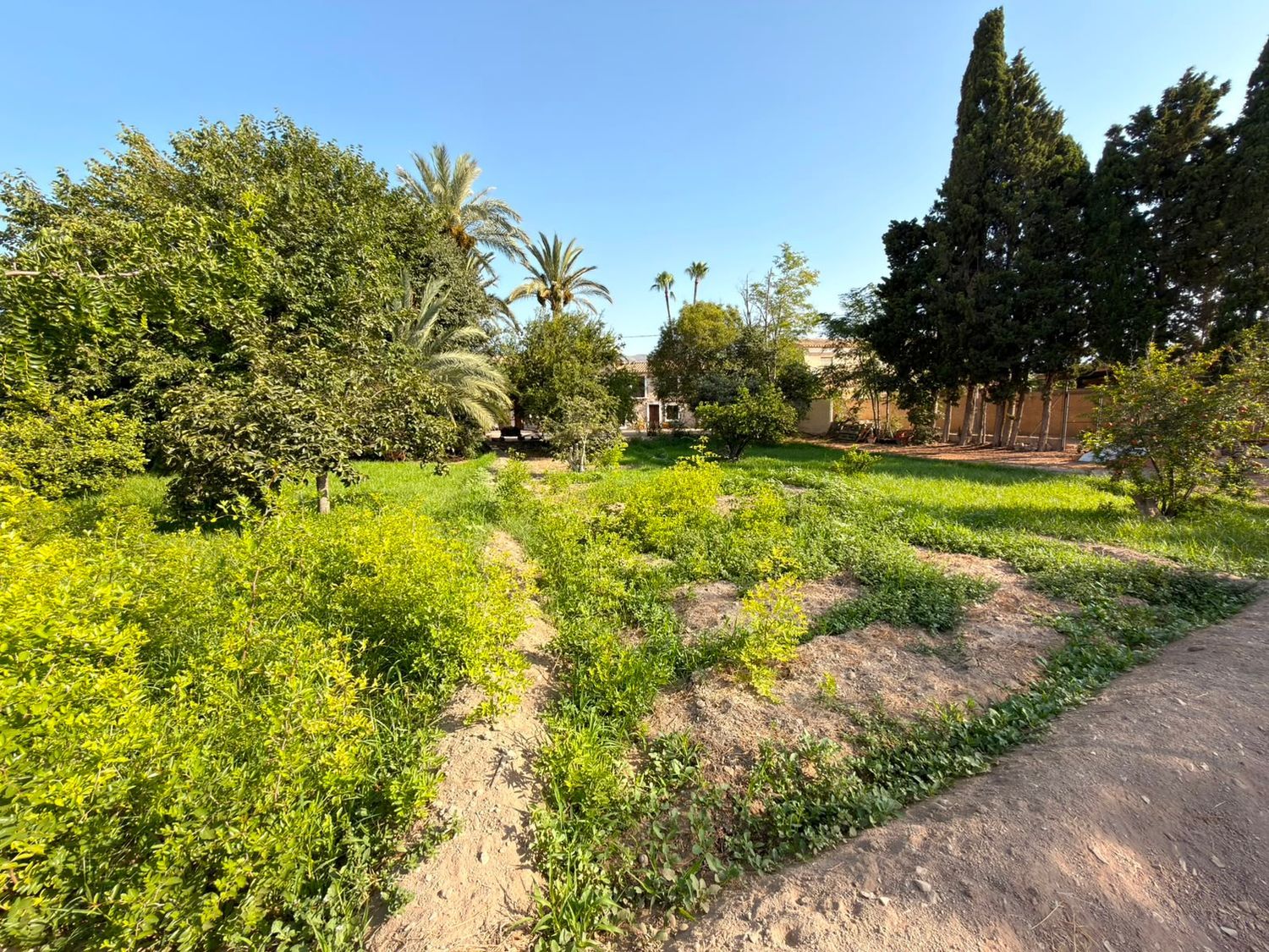 Masía en Masía en El Secanet - Hacienda del Sol, El Secanet - Hacienda del Sol - Foto 20
