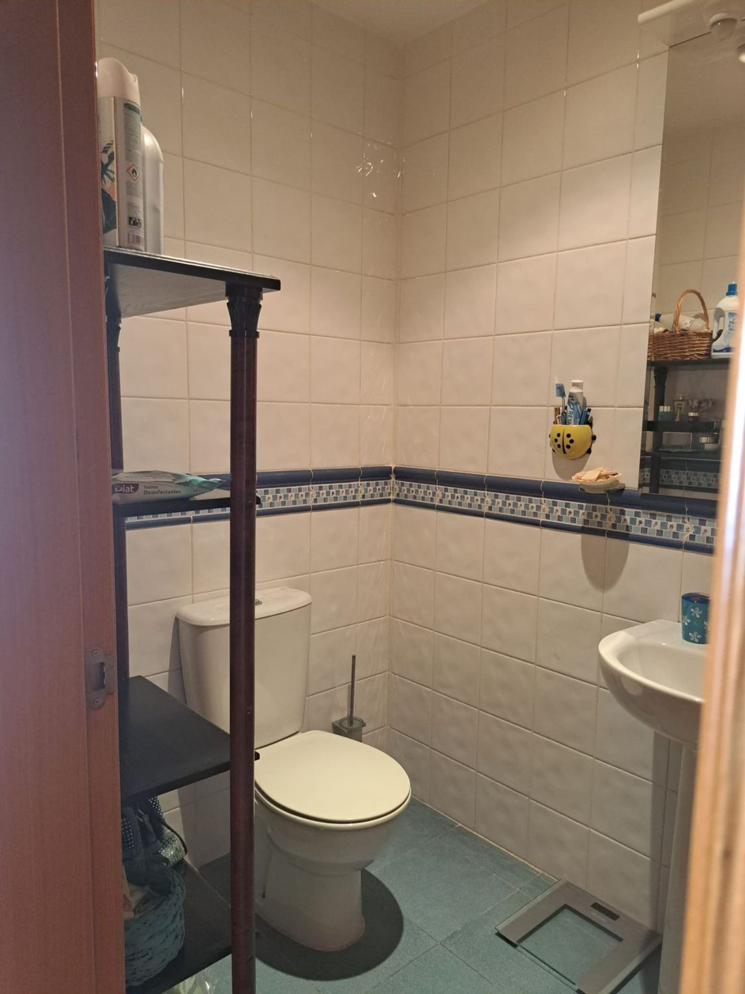 Chalet adosado en Calle Doctor Medina Olmos, 46, La Chana, La Chana - Foto 33