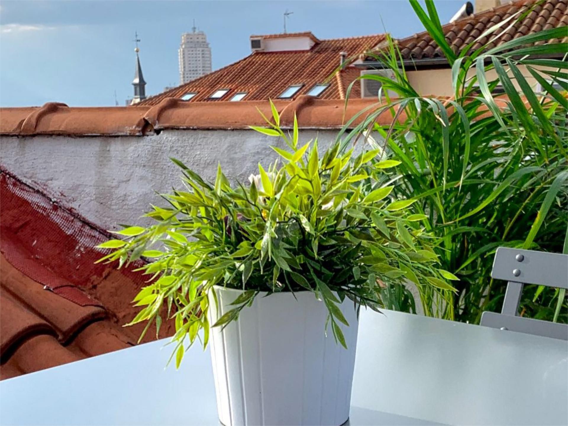 Piso en  Calle de la Bolsa 11 - Foto 8