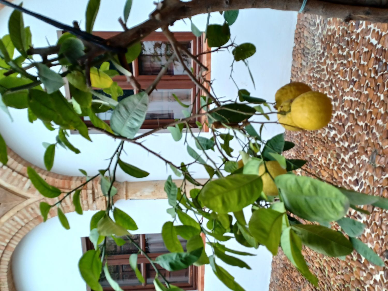 Dúplex en calle Valderrama, 6 - Foto 9