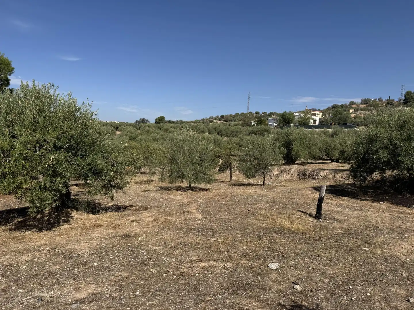 Finca rústica en  Prolongación Cañada del Tovar 34 - Foto 3