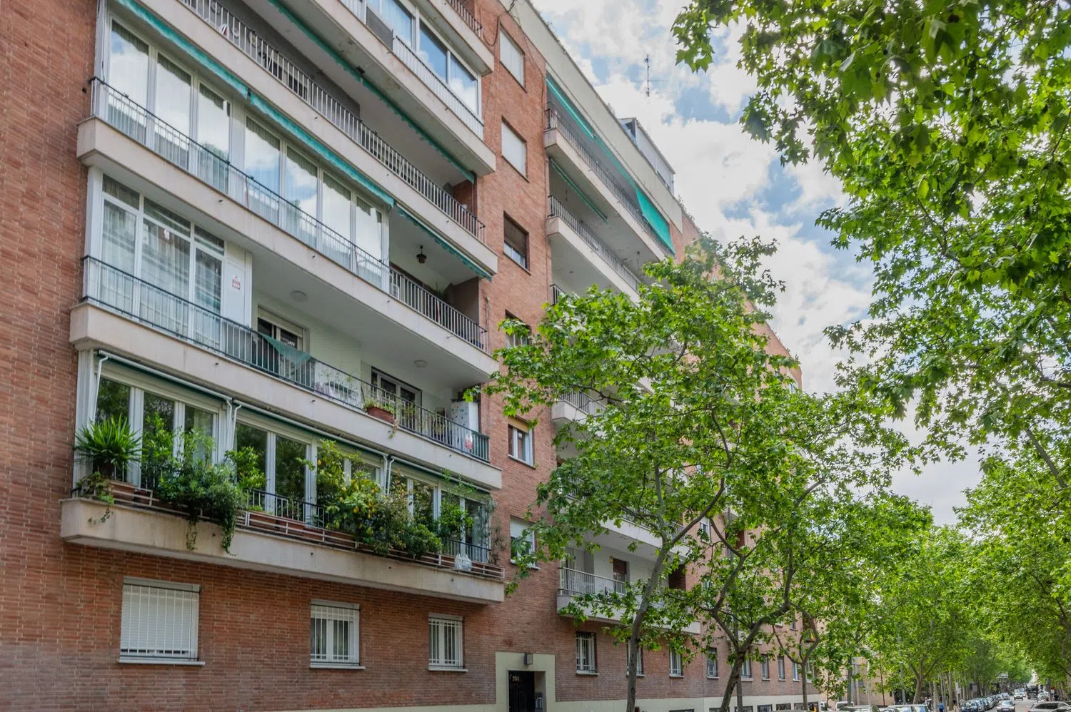 Piso en Barrio Cuatro Caminos - Foto 32