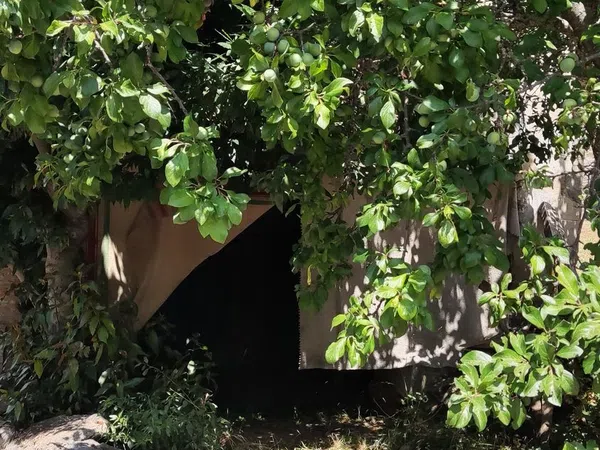 Casa de pueblo en Calle Barrio Abajo, 50 - Foto 4