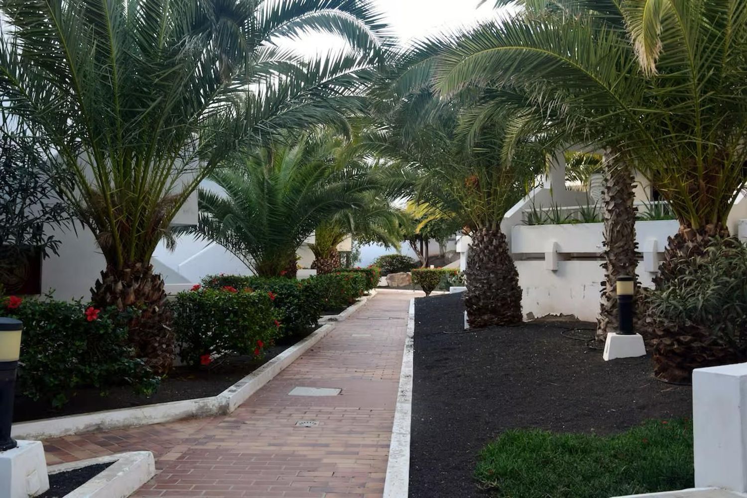 Piso en Calle las Adelfas, 3, Costa Teguise, Costa Teguise - Foto 21