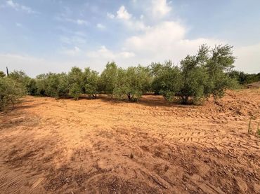 Finca rústica en  Camí de Sant Joan 1 - Foto 11