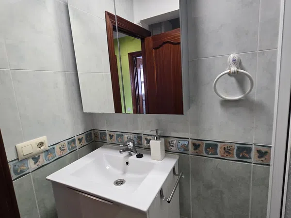 Piso en Calle Doctor Aquilino Hurlé, 20, La Arena - Foto 15