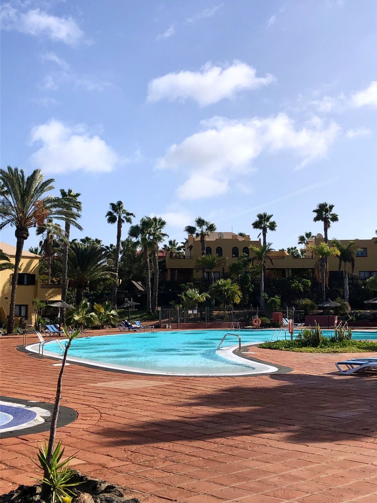 Estudio en Calle Guirre, 1, Corralejo, Corralejo - Foto 12