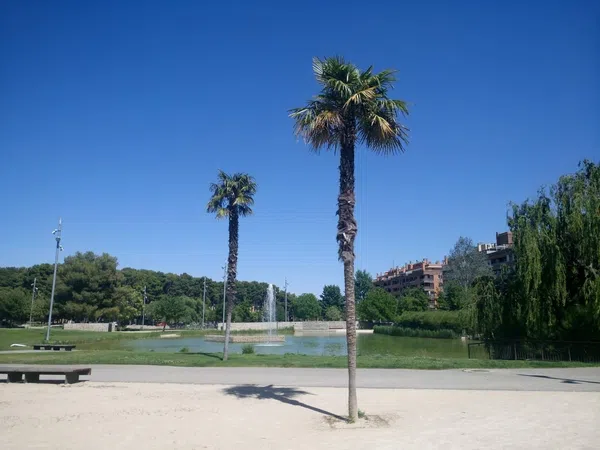 Piso en Paseo Ramón y Cajal, 21, Sto.Domingo y S.Martín, Sto.Domingo y S.Martín - Foto 18