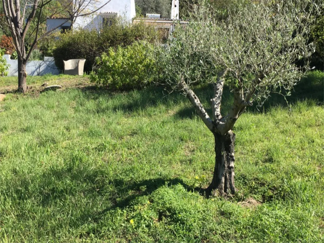 Chalet en  Calle de la Palmera 6 - Foto 23