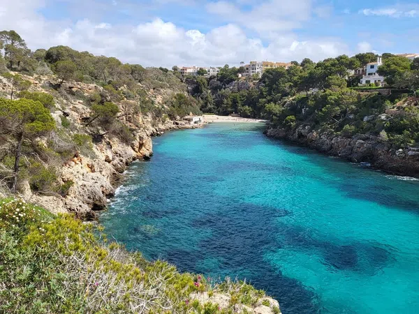 Piso en Calle de Murillo, 8, Cala Pi-Vallgornera, Cala Pi-Vallgornera - Foto 15