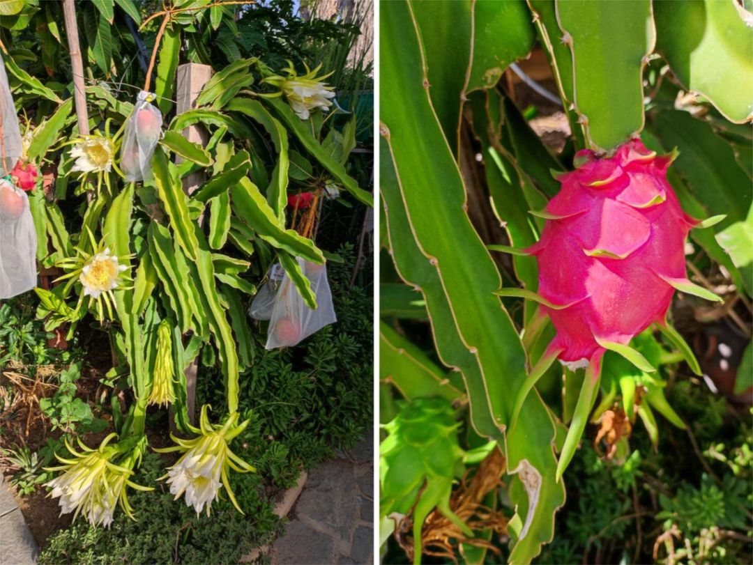 Casa adosada en  Calle Almería 64 - Foto 25