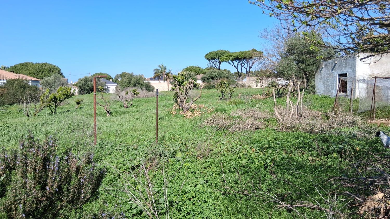 Casa independiente en calle Verbana, 40 Sn - Foto 5