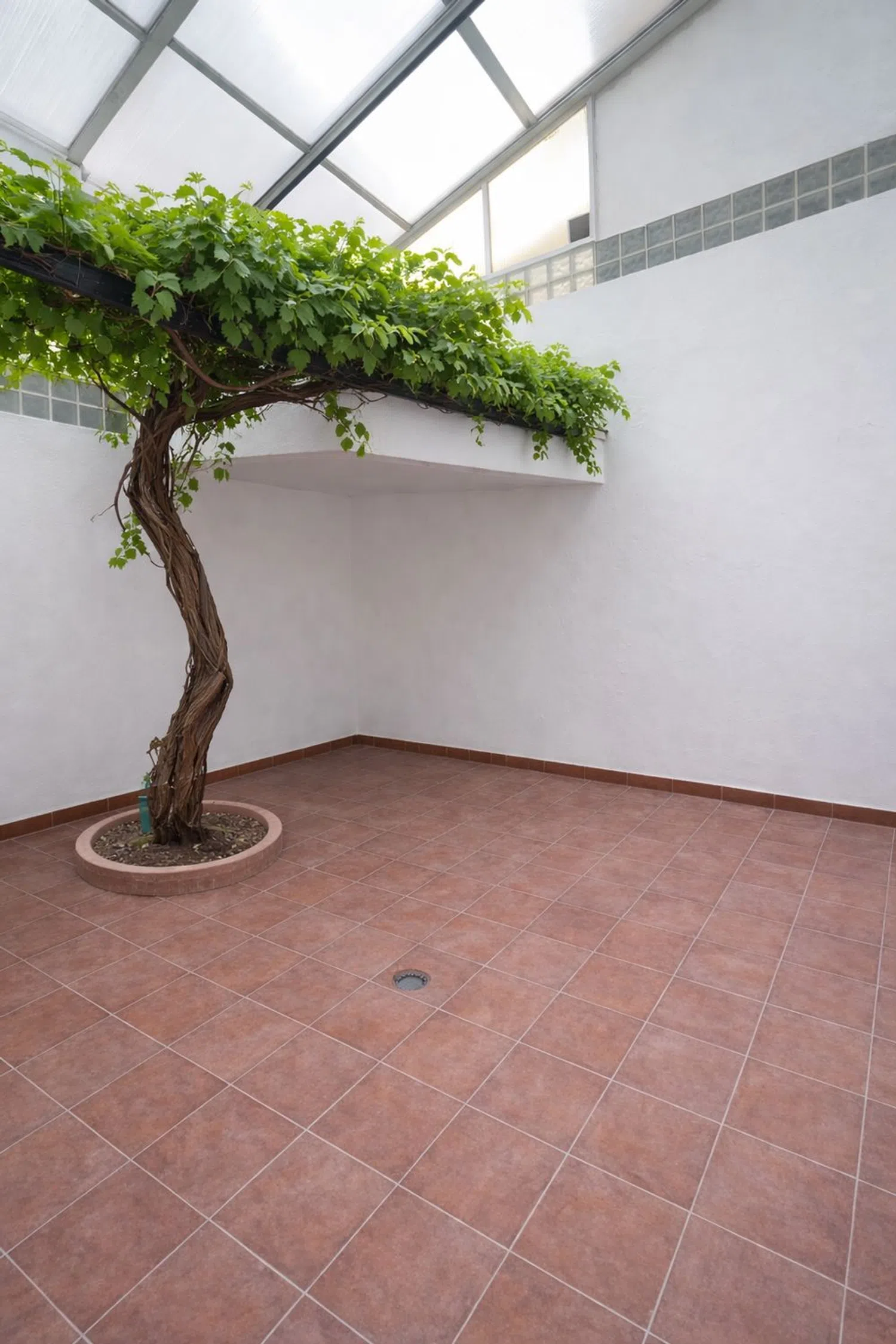 Casa independiente en calle Caídos de la División Azul, 8 - Foto 3