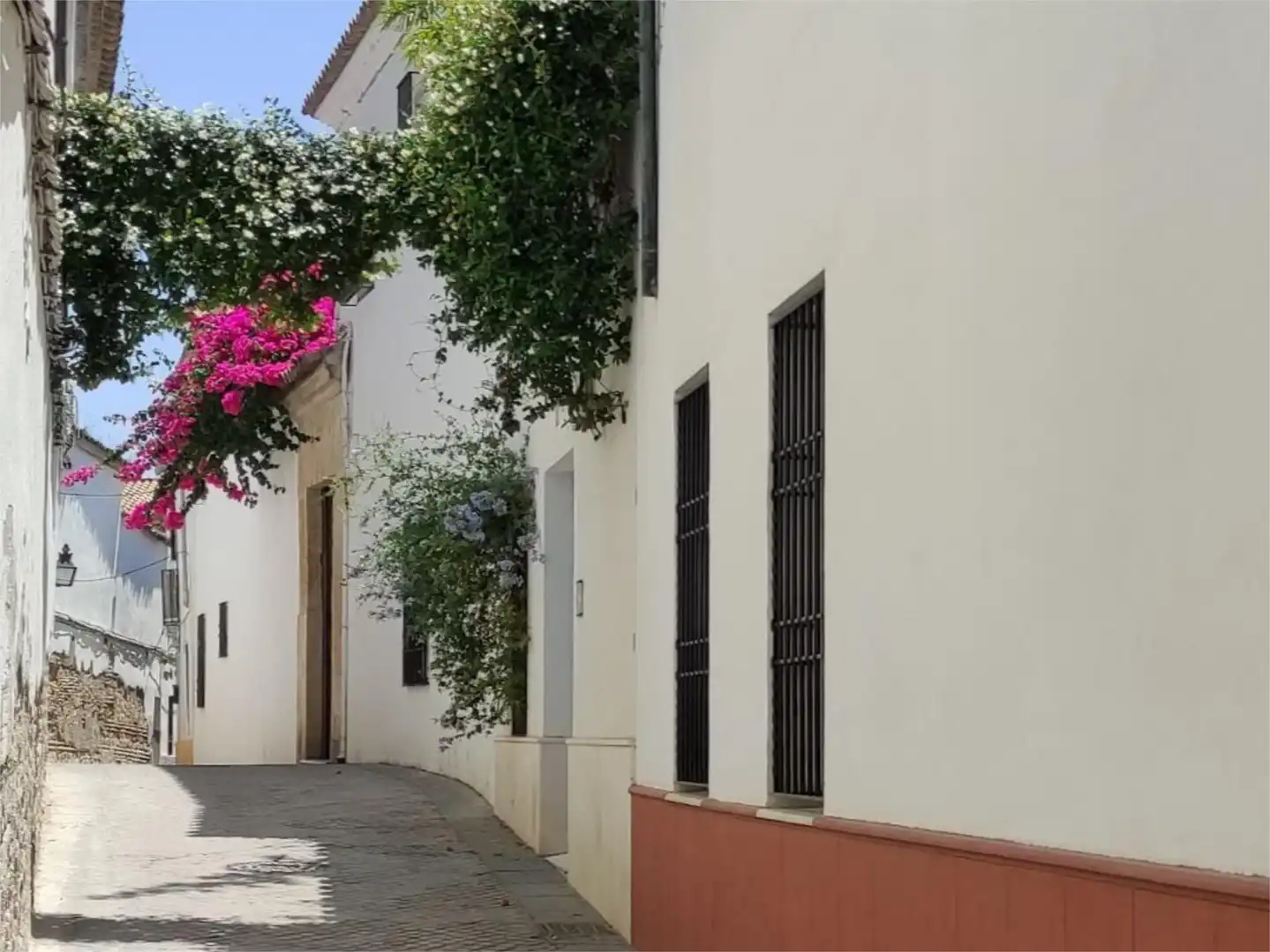 Apartamento en  Calle Valderrama 6 - Foto 29