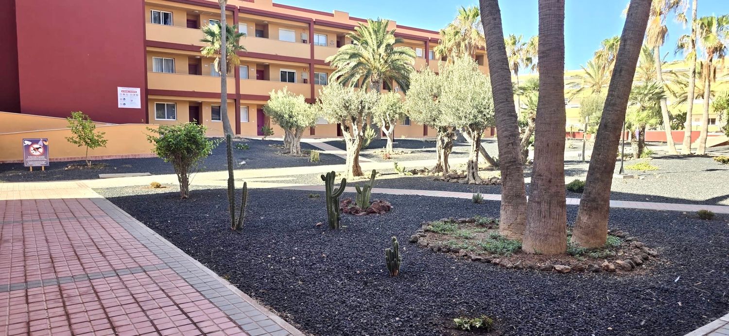 Piso en Calle los Pedruscos, 1, Parque Holandés, Parque Holandés - Foto 19