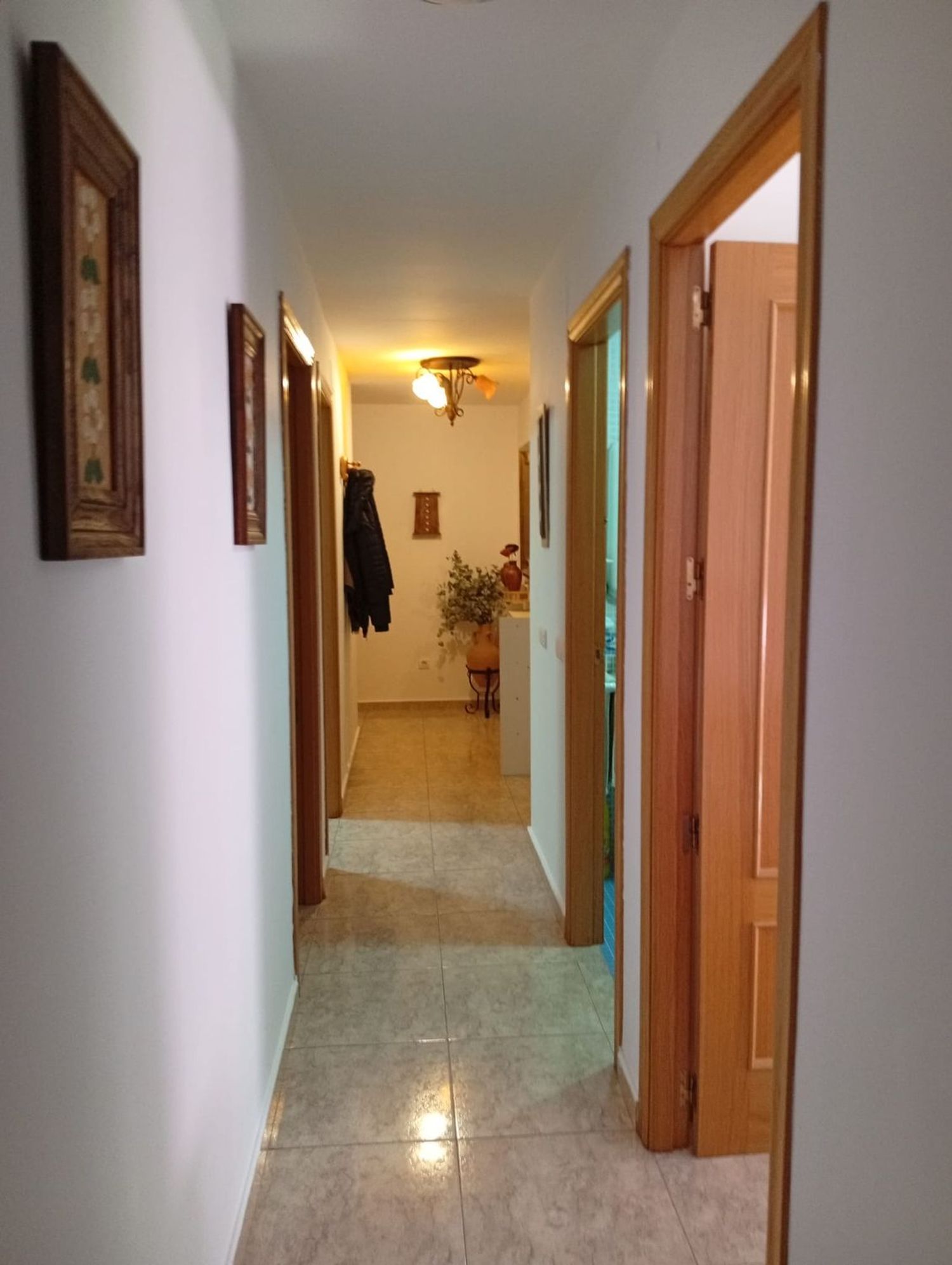 Piso en Avenida Levante, 19 - Foto 14