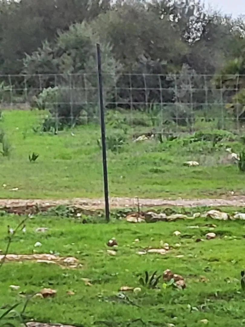 Finca rústica en  Calle Héctor Villa-Lobos 5 - Foto 5