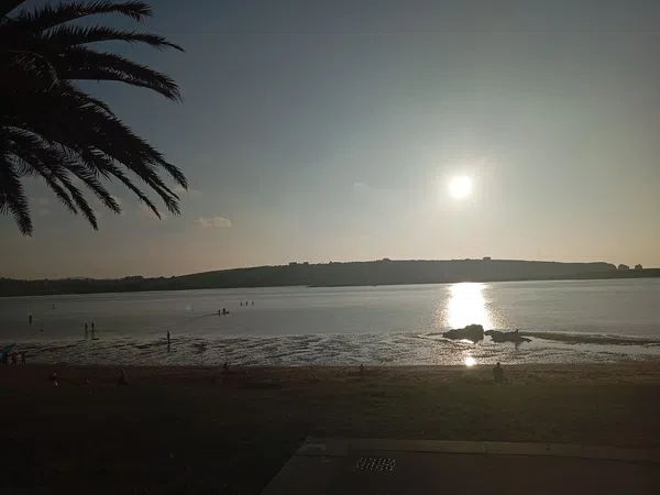 Piso en Paseo Marítimo, 489 - Foto 12
