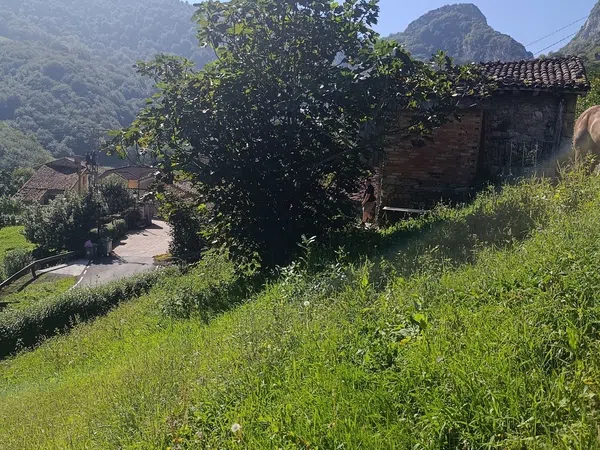Casa de pueblo en Aldea Llamo, 22 - Foto 2
