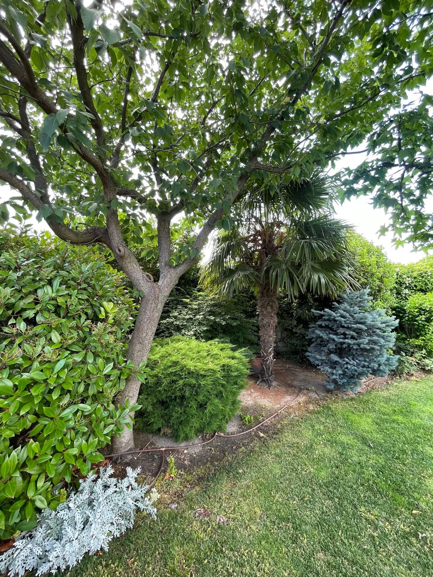 Casa o chalet independiente en Los Ángeles de San Rafael, Los Ángeles de San Rafael - Foto 39