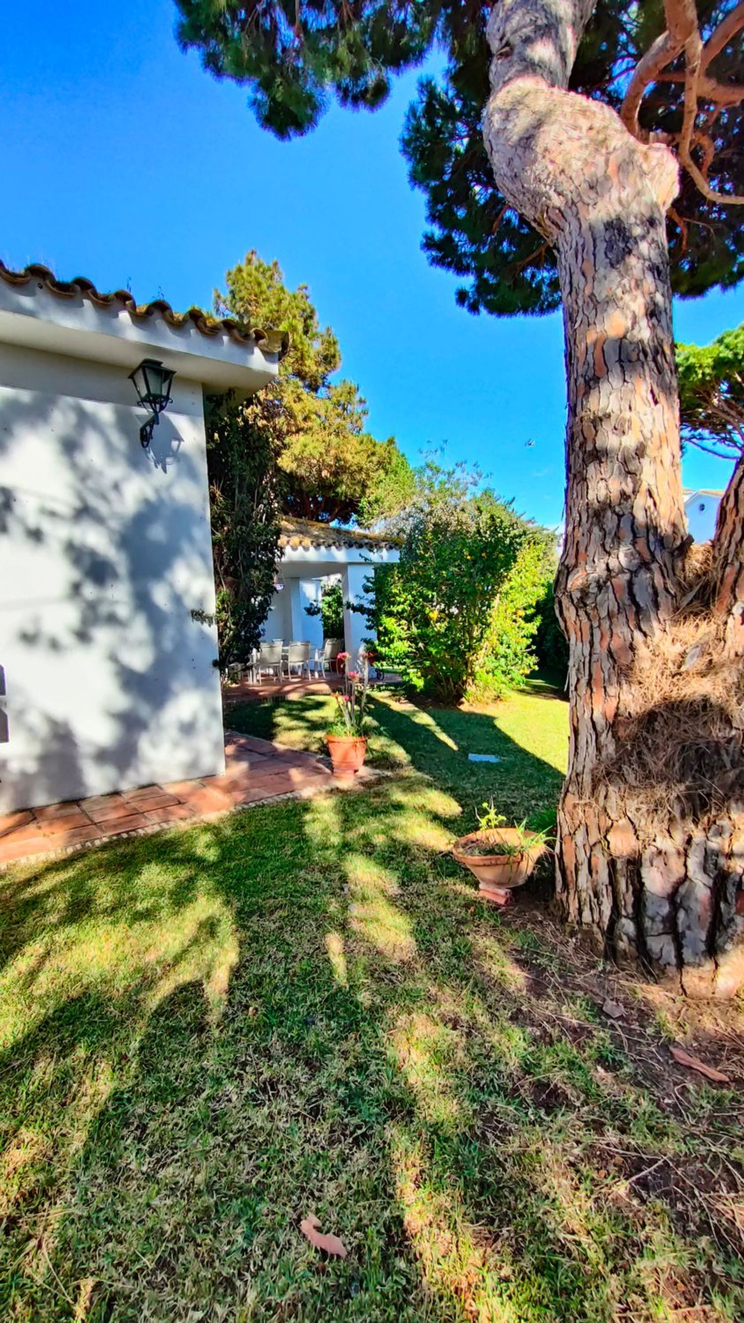 Casa o chalet independiente en Calle Abeto, 18, Vistahermosa - Foto 16