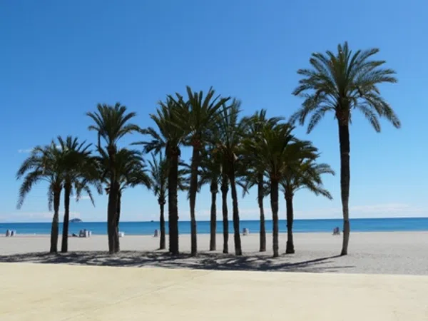 Estudio en Callejón del Pal, 7, Platja Vila Joiosa, Platja Vila Joiosa - Foto 1