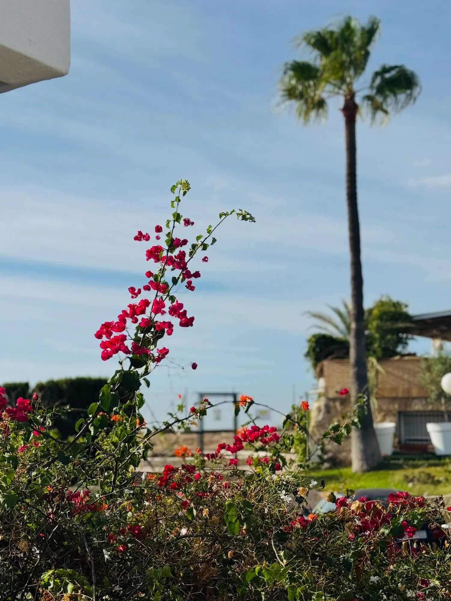 Casa independiente en calle del Albatros, 3 - Foto 21