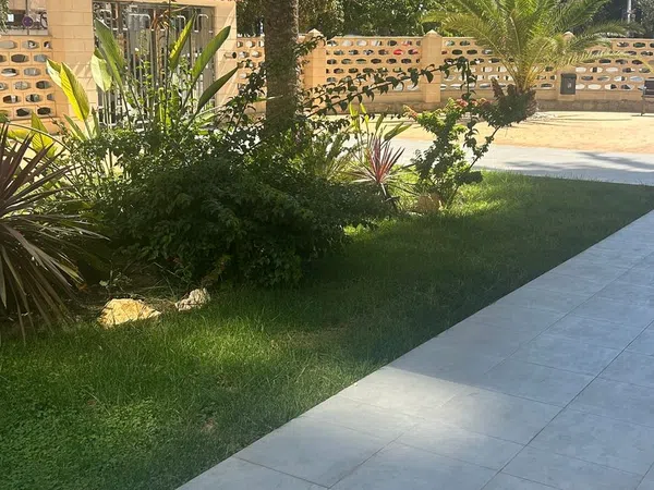 Piso en Avenida Holanda, 6, Playa de San Juan - Foto 28