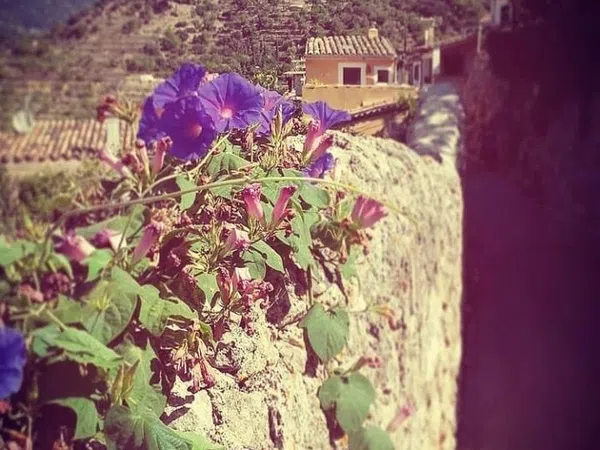 Casa de pueblo en Calle de la Lluna, 19 - Foto 3