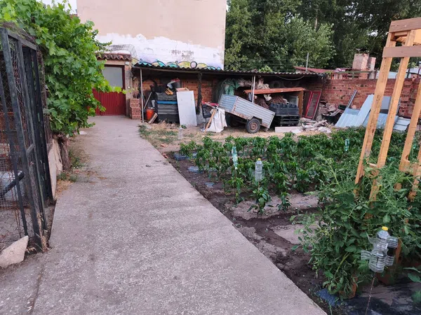 Finca rústica en Avenida Deportiva s/n - Foto 2