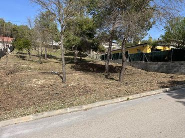 Terreno Residencial en  Carrer Daina 11M - Foto 2
