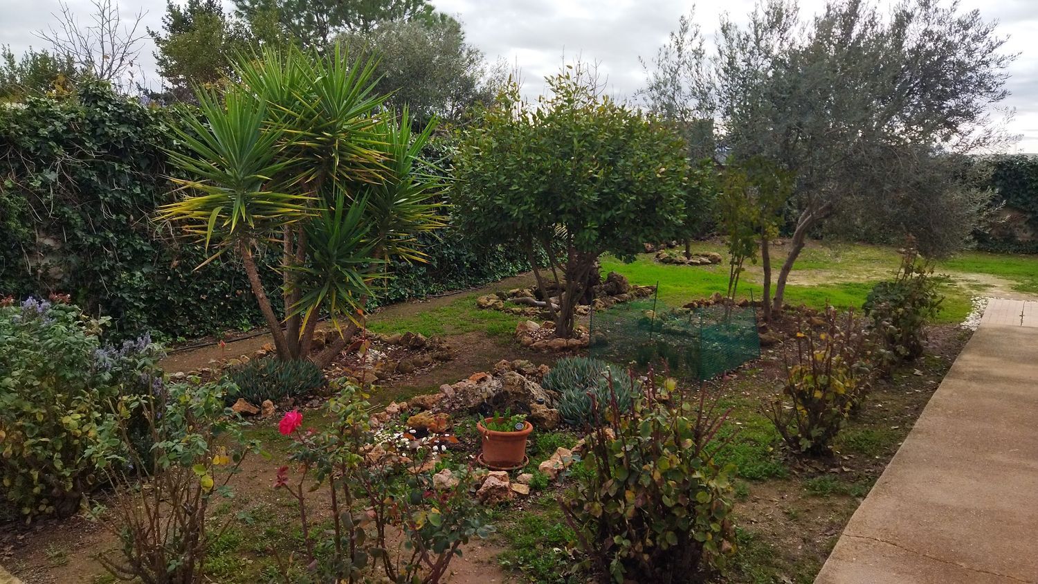 Finca rústica en Calle Puerto los Claveles, 45 Sn - Foto 18